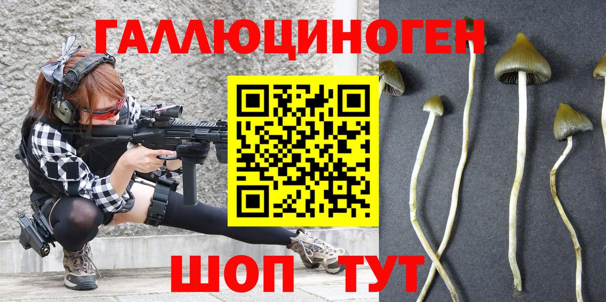 Галлюциногенные грибы GOLDEN TEACHER Владикавказ